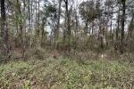 Property photo for land for sale in Suwannee County Florida