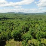 Property photo for land for sale in Oxford County Maine