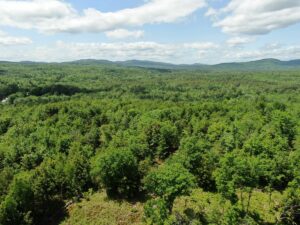 Property photo for land for sale in Oxford County Maine