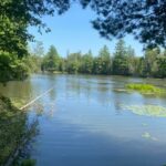 Property photo for land for sale in Montmorency County Michigan