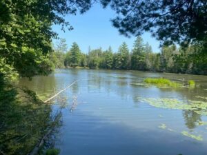 Property photo for land for sale in Montmorency County Michigan