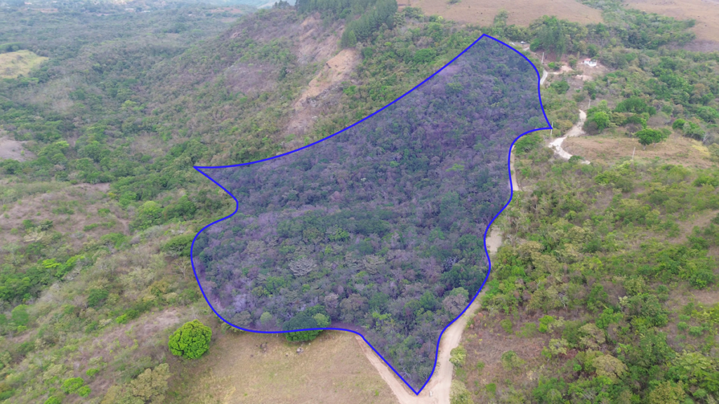 Property photo for land for sale in  County Panama