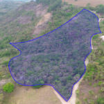 Property photo for land for sale in  County Panama