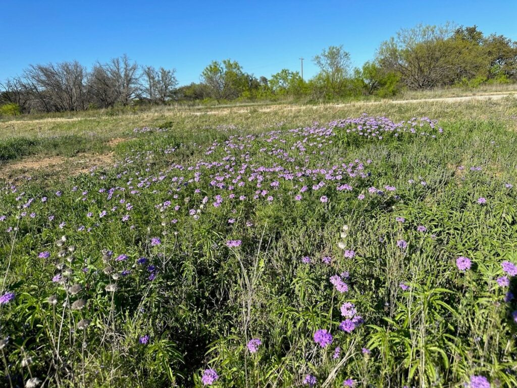 Property photo for land for sale in Brown County Texas