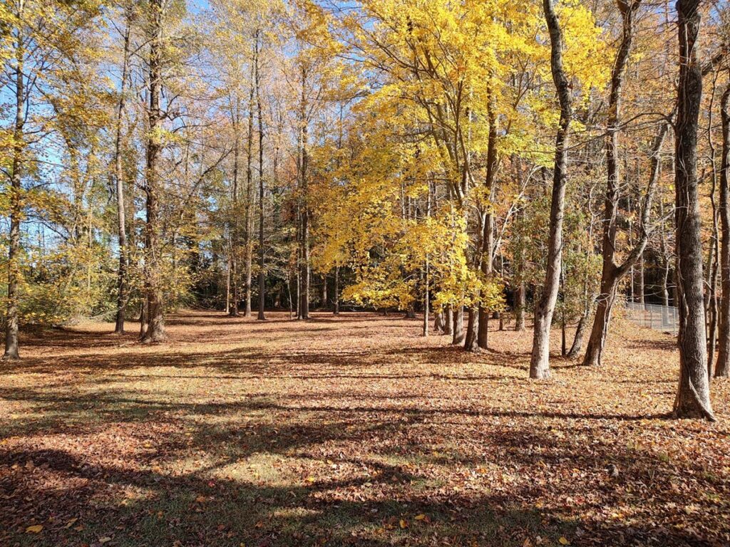 Property photo for land for sale in Beaufort County North Carolina