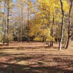 Property photo for land for sale in Beaufort County North Carolina