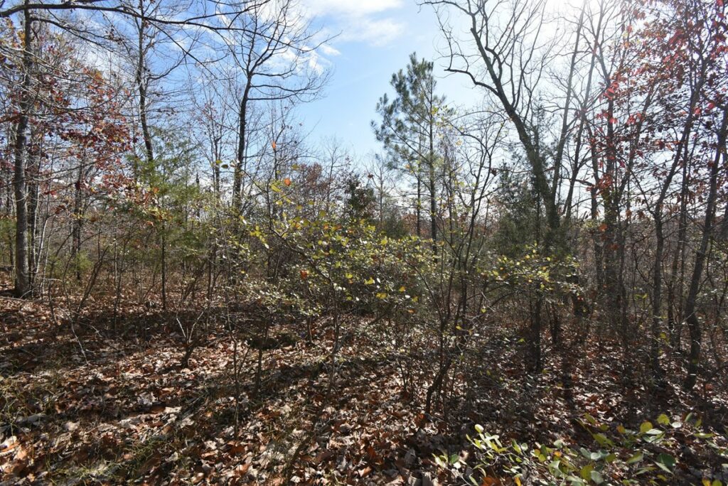 Property photo for land for sale in Perry County Tennessee