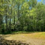 Property photo for land for sale in Vance County North Carolina