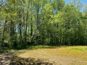 Property photo for land for sale in Vance County North Carolina