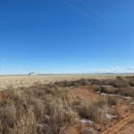 Property photo for land for sale in Torrance County New Mexico