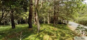 Property photo for land for sale in  County Panama