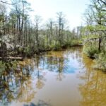 Property photo for land for sale in Perquimans County North Carolina