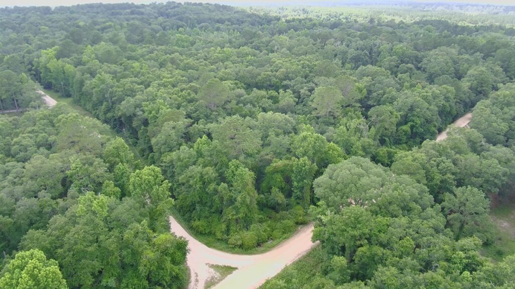 Property photo for land for sale in Jefferson County Florida