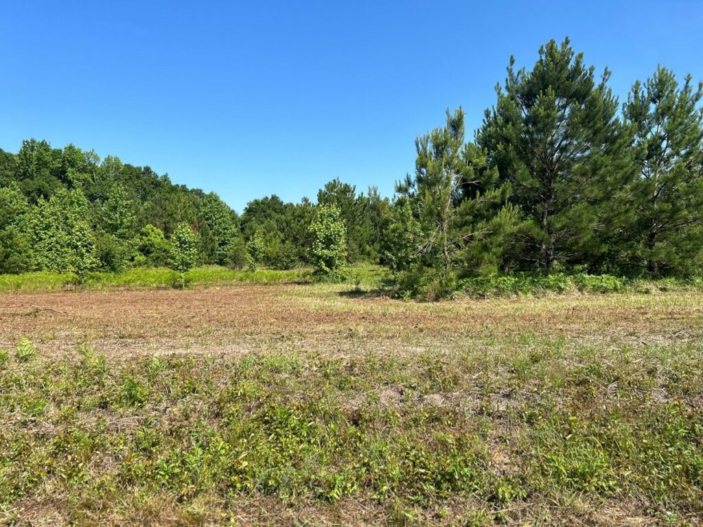 Property photo for land for sale in Crenshaw County Alabama