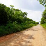 Property photo for land for sale in Lincoln County Oklahoma