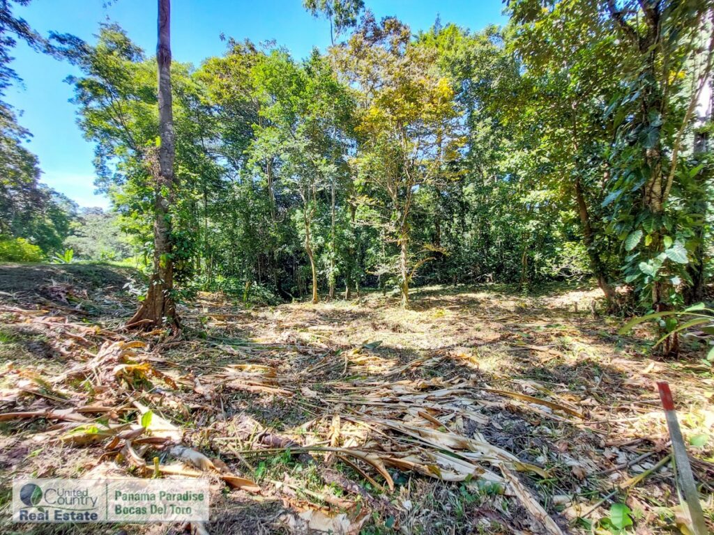 Property photo for land for sale in  County Panama