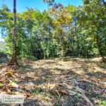 Property photo for land for sale in  County Panama