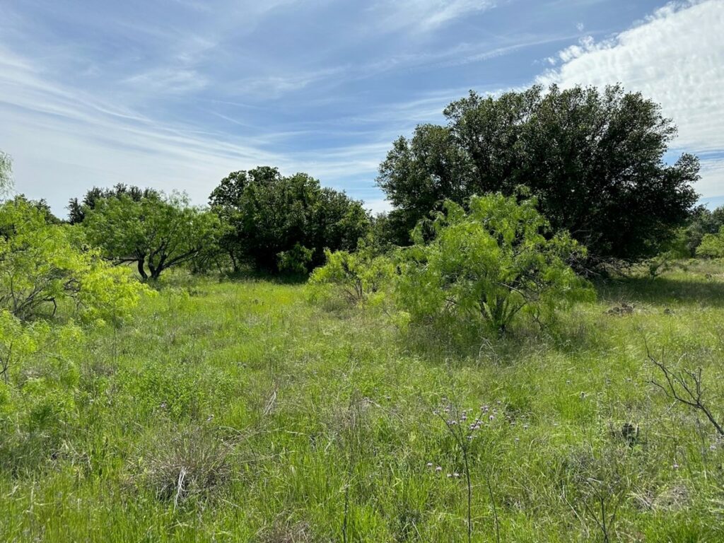 Property photo for land for sale in Brown County Texas