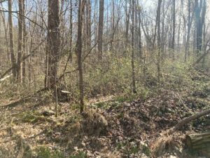 Property photo for land for sale in Allen County Kentucky