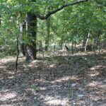 Property photo for land for sale in Boone County Missouri