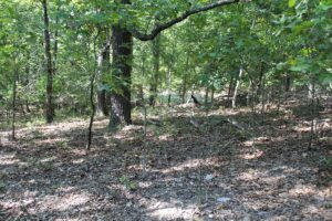 Property photo for land for sale in Boone County Missouri