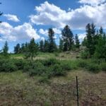 Property photo for land for sale in  County Colorado