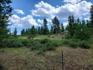 Property photo for land for sale in  County Colorado