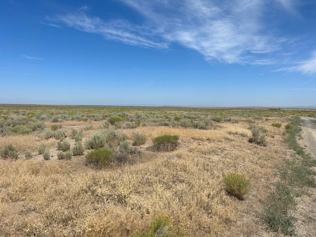 Property photo for land for sale in Harney County Oregon