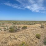 Property photo for land for sale in Harney County Oregon