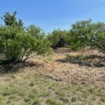 Property photo for land for sale in Brown County Texas