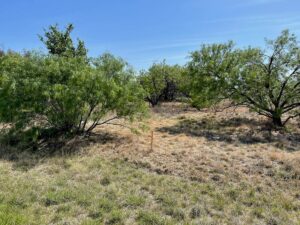 Property photo for land for sale in Brown County Texas