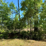 Property photo for land for sale in Hamilton County Florida