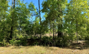 Property photo for land for sale in Hamilton County Florida