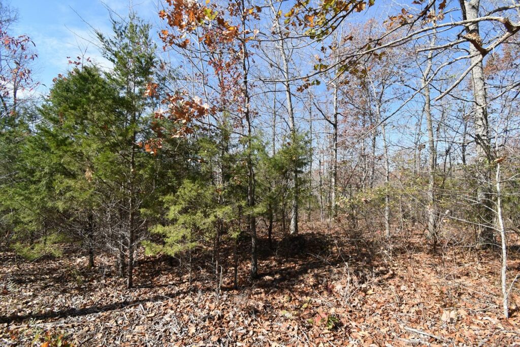 Property photo for land for sale in Perry County Tennessee