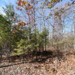 Property photo for land for sale in Perry County Tennessee