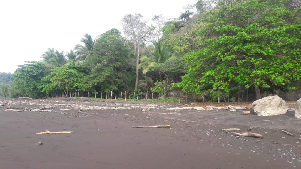 Property photo for land for sale in  County Panama