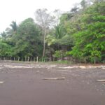 Property photo for land for sale in  County Panama