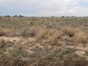 Property photo for land for sale in Torrance County New Mexico