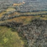 Property photo for land for sale in Cedar County Missouri