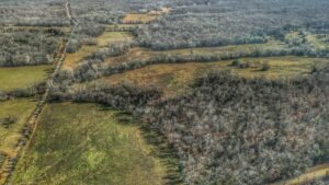 Property photo for land for sale in Cedar County Missouri