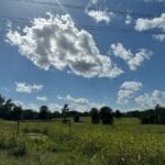 Property photo for land for sale in Upshur County Texas