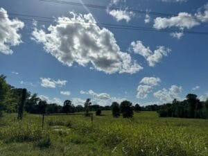 Property photo for land for sale in Upshur County Texas