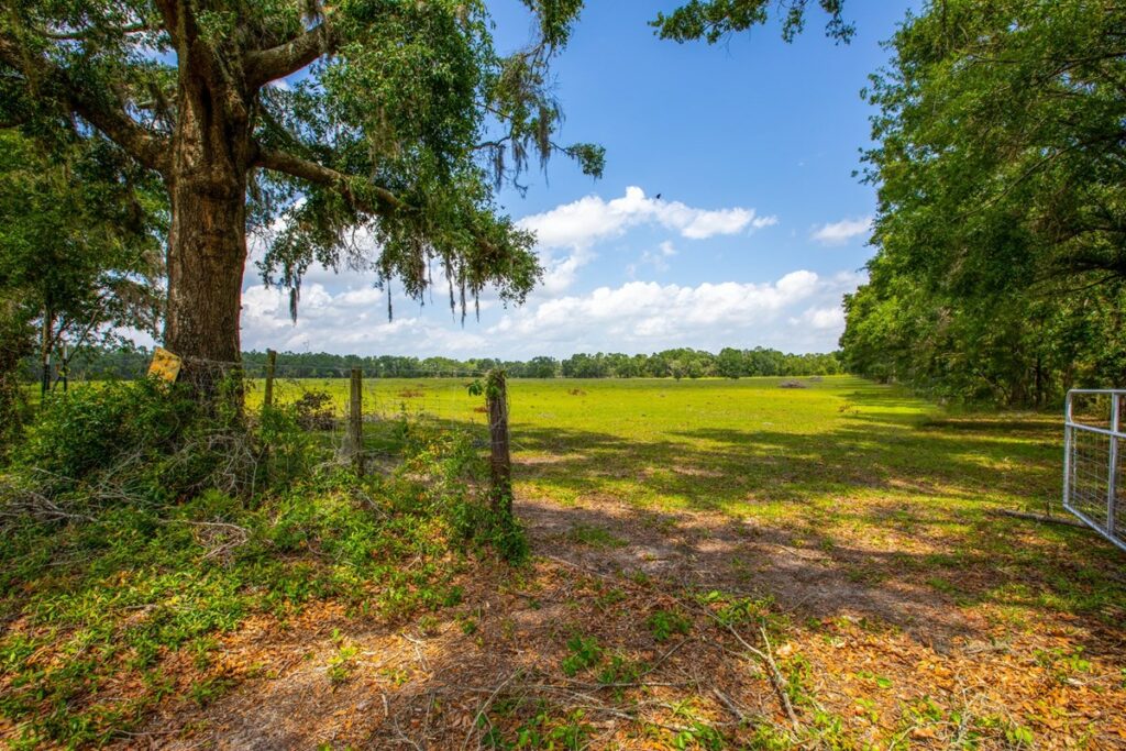 Property photo for land for sale in Suwannee County Florida