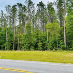 Property photo for land for sale in Hamilton County Florida