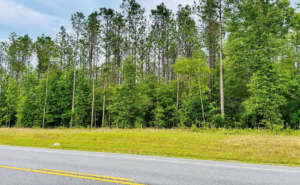 Property photo for land for sale in Hamilton County Florida