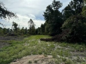 Property photo for land for sale in Columbia County Florida