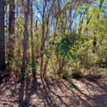 Property photo for land for sale in Hamilton County Florida