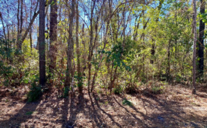 Property photo for land for sale in Hamilton County Florida