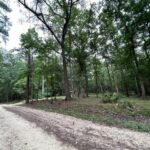 Property photo for land for sale in Suwannee County Florida