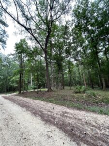 Property photo for land for sale in Suwannee County Florida